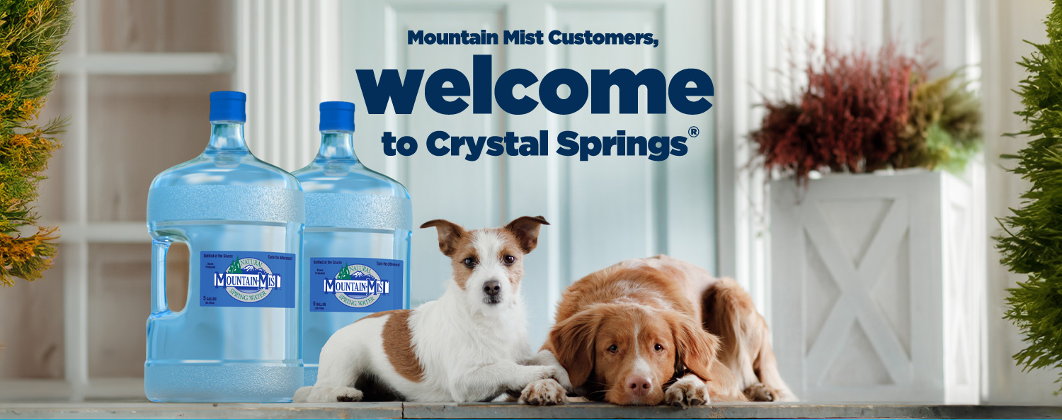 Welcome to Crystal Springs